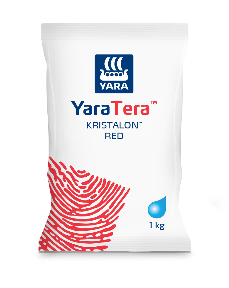 YaraTera® KRISTALON RED 12-12-36