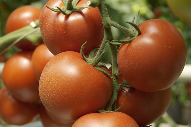 Saak püsib kauem värske