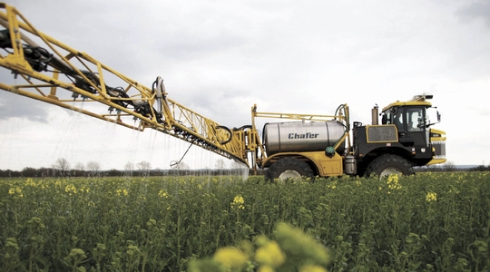 Rapsi väetamisstrateegiad