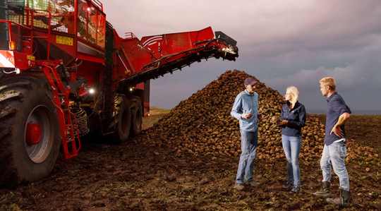 Kartuli tootmine maailmas