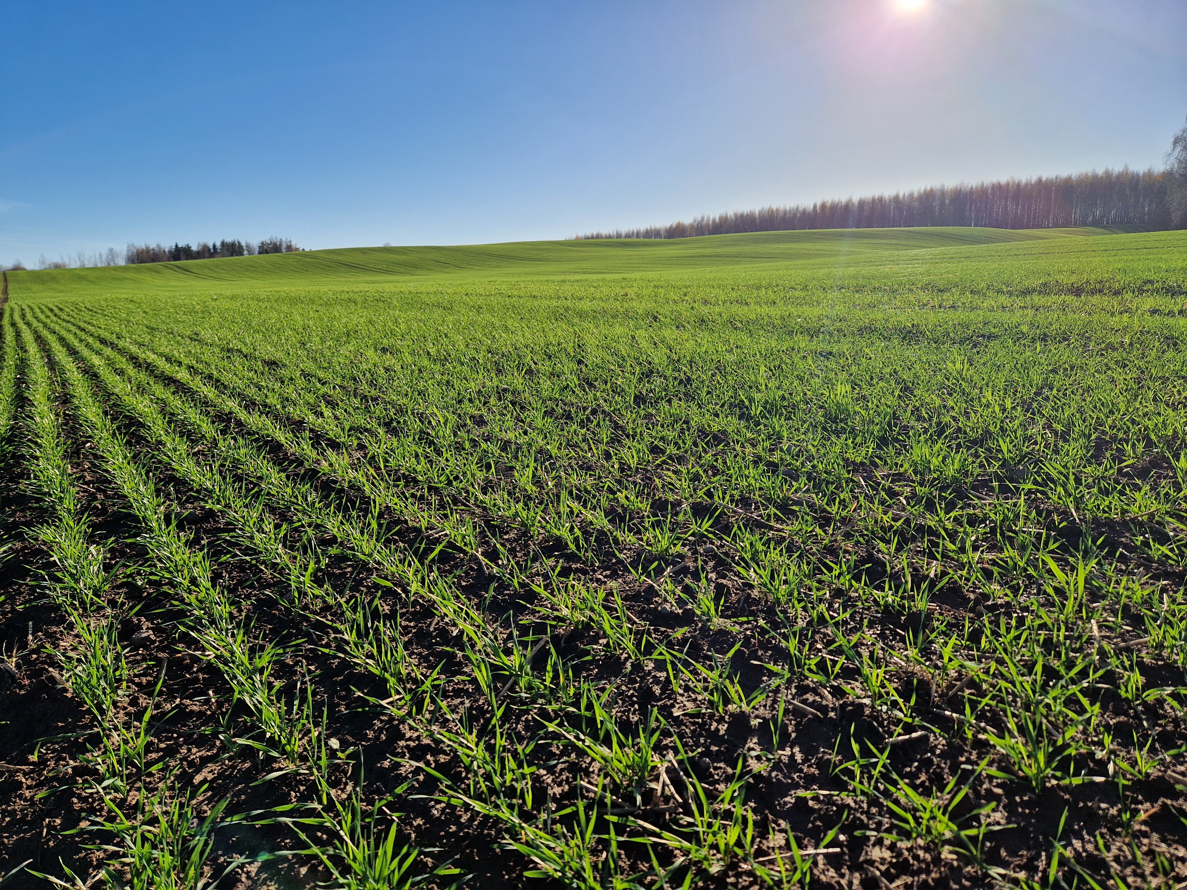 YaraVita® leheväetised