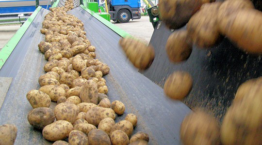 Nõuded kartuli turustamisele
