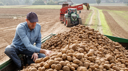 Agronoomilised põhitõed