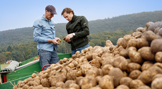 Mugula sisemise rooste (IRS) vähendamine